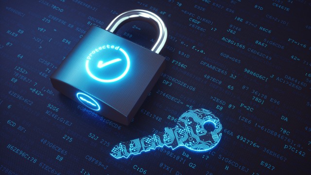 20 Dicas de Segurança e Privacidade Digital