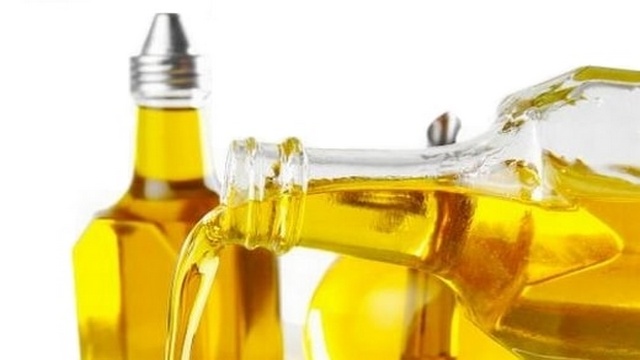 carta-ao-reverendo-van-diesel
