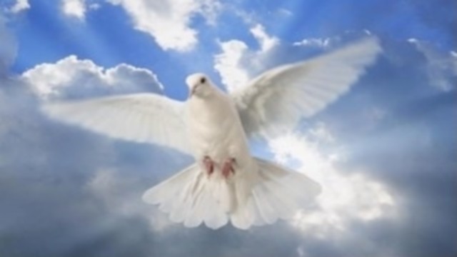 fuja do pentecostalismo parte 29