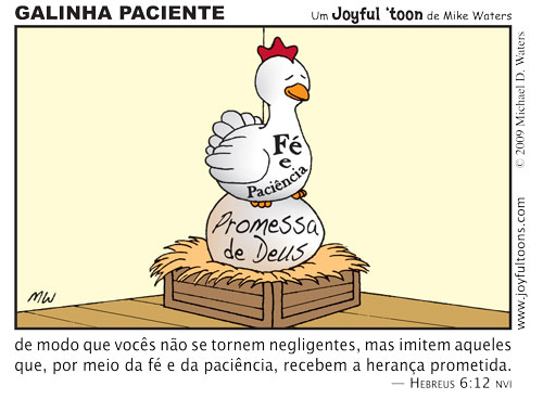 Galinha paciente