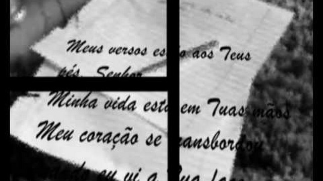 Meus Versos
