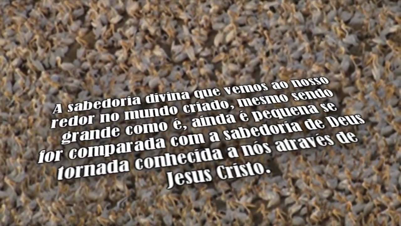 Temos Visto a Glória de Cristo?